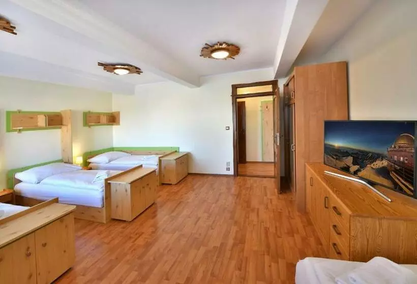 ペンション Penzión Víchrica