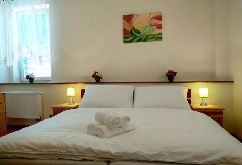 ペンション Penzión Víchrica