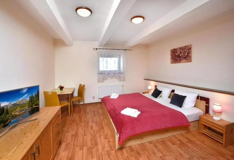 ペンション Penzión Víchrica