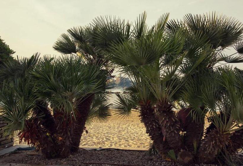 膳宿费 Pino Dependance