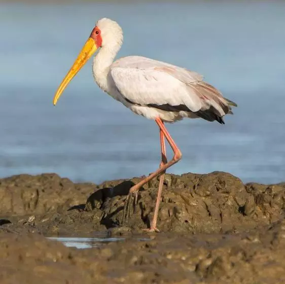 Annas Bed And Breakfast