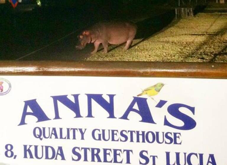 Annas Bed And Breakfast