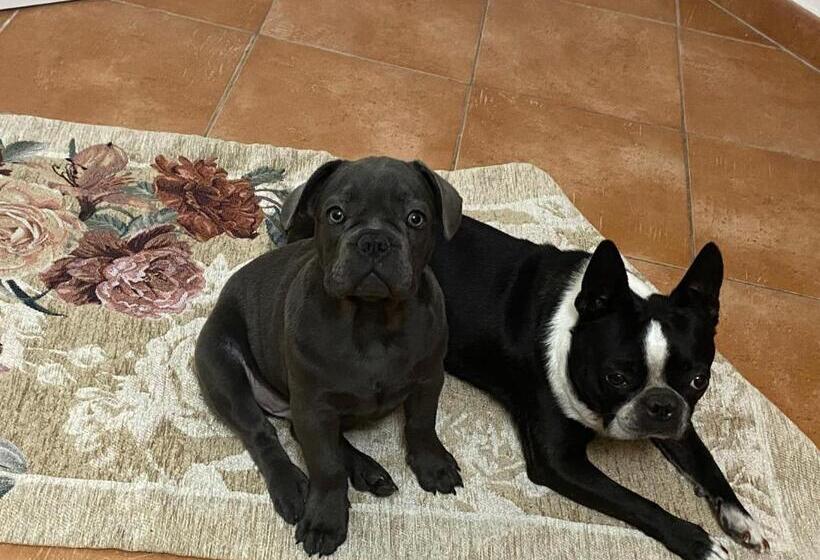 Bed and Breakfast Al Dolmen