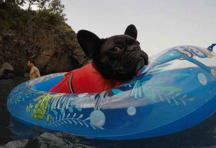 Bed and Breakfast Al Dolmen