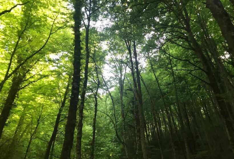 Bed and Breakfast Al Dolmen