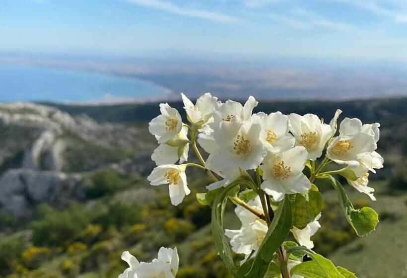 Bed and Breakfast Al Dolmen