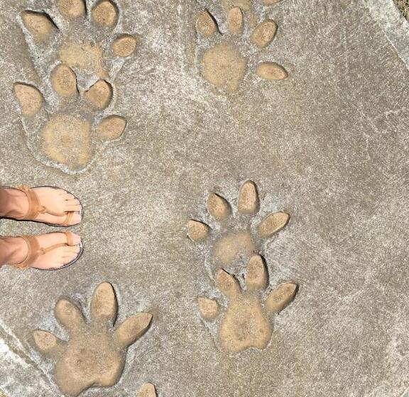 膳宿费 Turaco Guest House