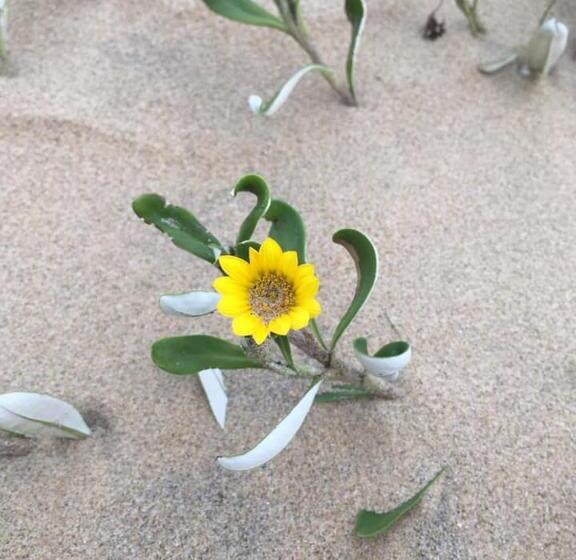 膳宿费 Turaco Guest House