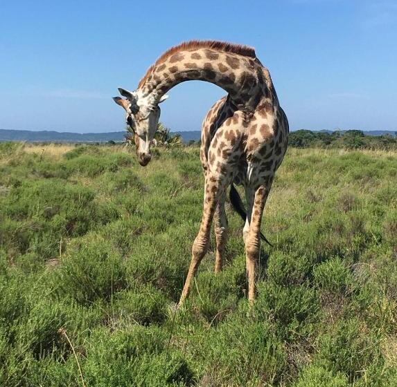 膳宿费 Turaco Guest House