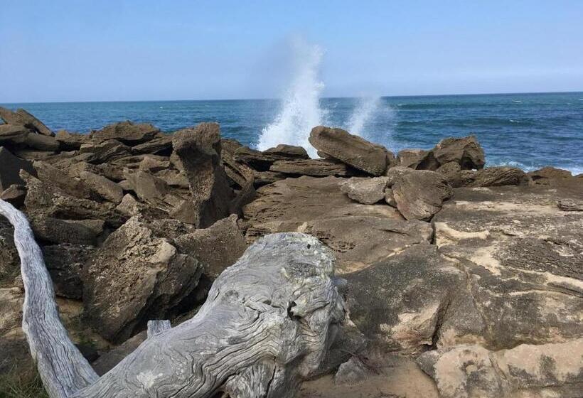 膳宿费 Turaco Guest House
