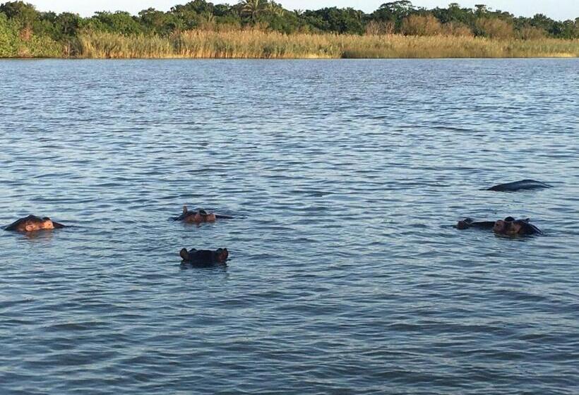 膳宿费 Turaco Guest House