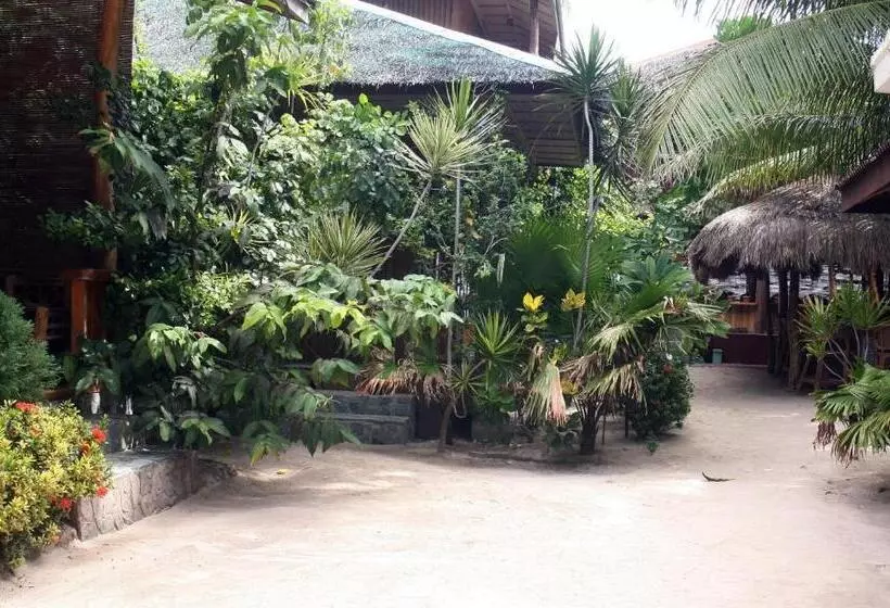 هاستل Jjs Backpackers Village