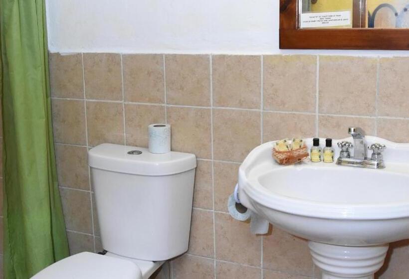 مبيت وإفطار Cancun Guest House 2