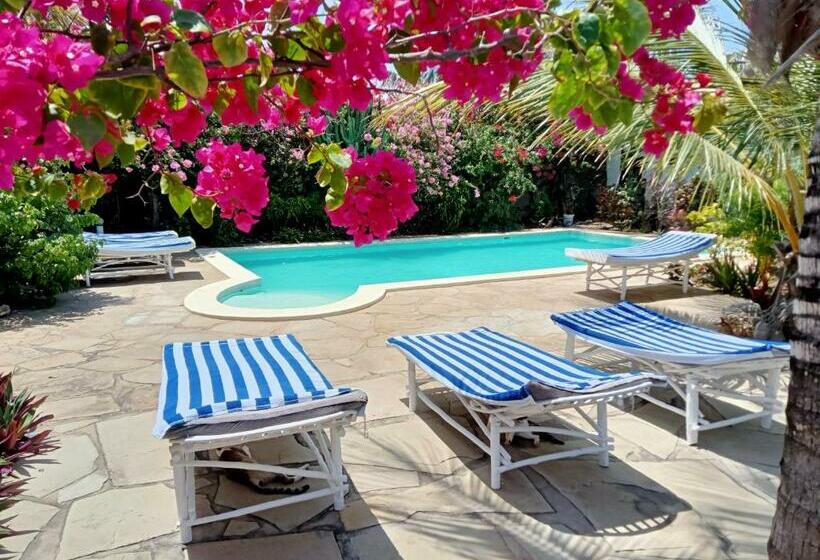 Bed and Breakfast Huhuru House