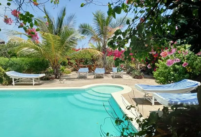 تختخواب و صبحانه Huhuru House