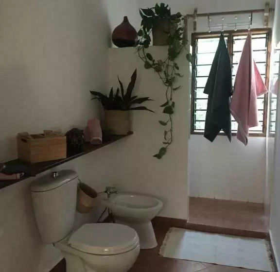 تختخواب و صبحانه Huhuru House