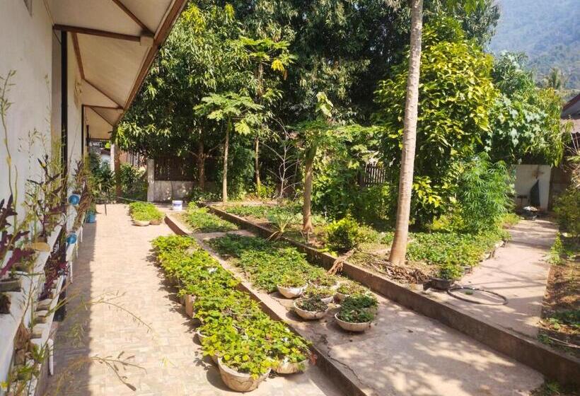 住宿加早餐  Sunset Bungalows & Gh