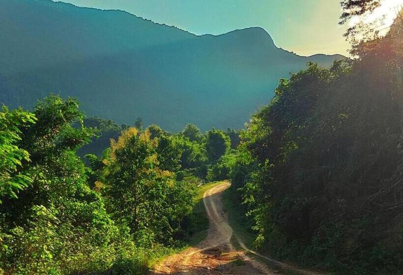 住宿加早餐  Sunset Bungalows & Gh