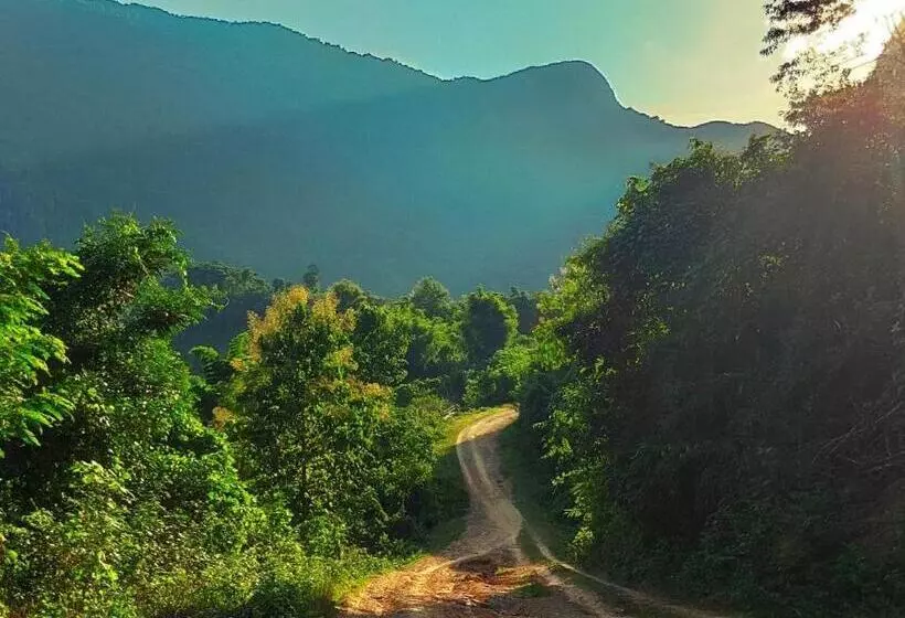 ベッドアンドブレックファースト Sunset Bungalows & Gh