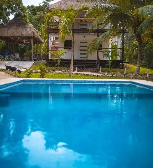 ホテル Royal Palm Bacalar Cabañas & Lagoon Club