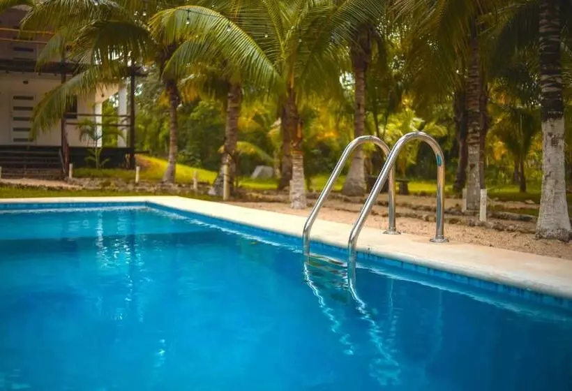 ホテル Royal Palm Bacalar Cabañas & Lagoon Club