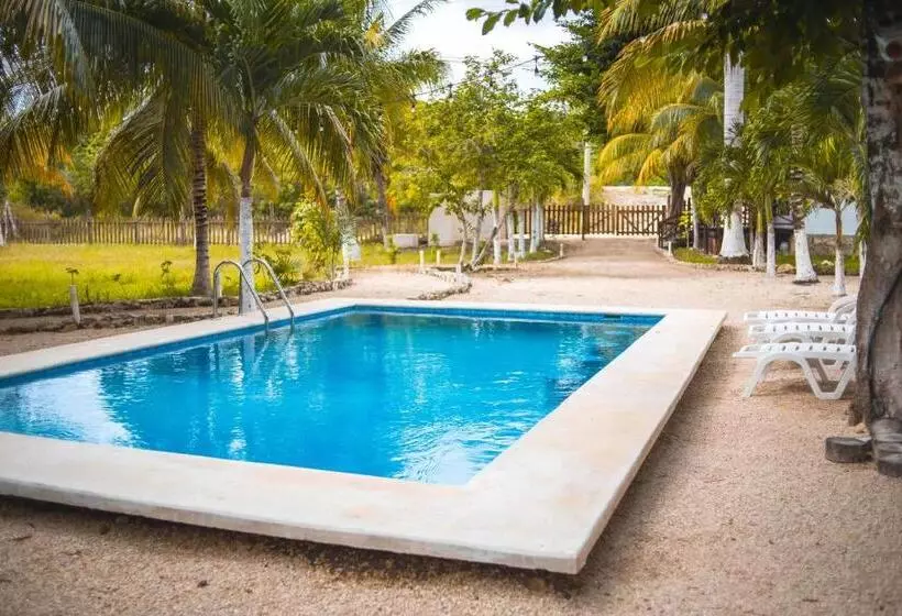 ホテル Royal Palm Bacalar Cabañas & Lagoon Club