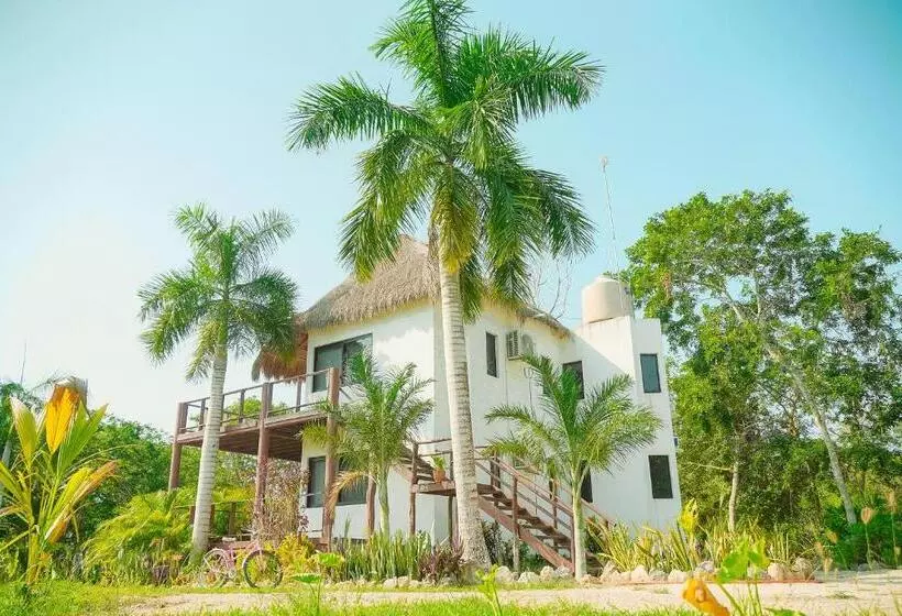 ホテル Royal Palm Bacalar Cabañas & Lagoon Club