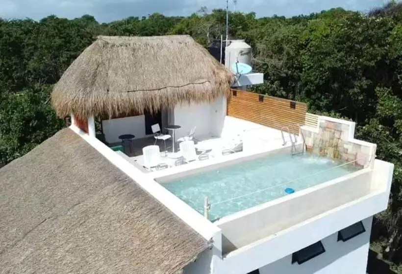 ホテル Royal Palm Bacalar Cabañas & Lagoon Club