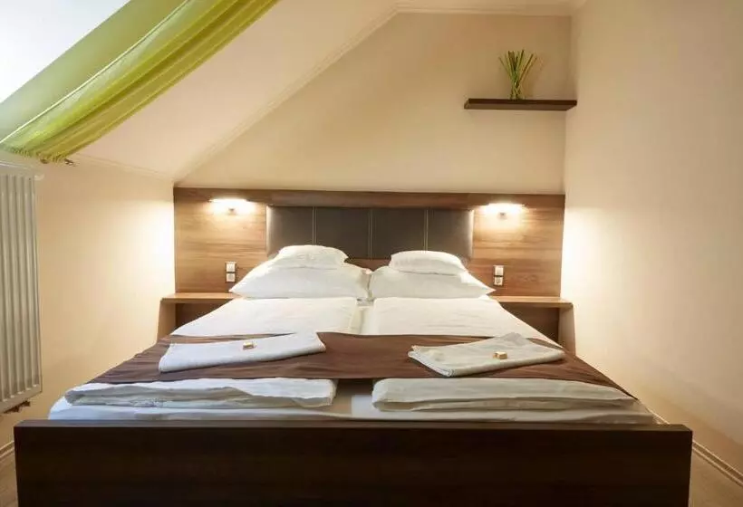 ベッドアンドブレックファースト Ludvig Panzió