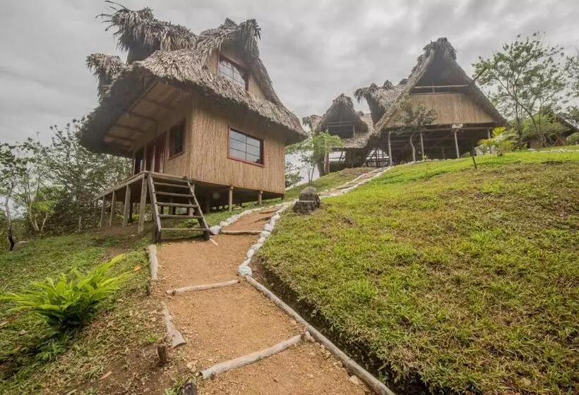 هاستل Vista Verde Lodge