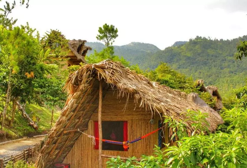 هاستل Vista Verde Lodge