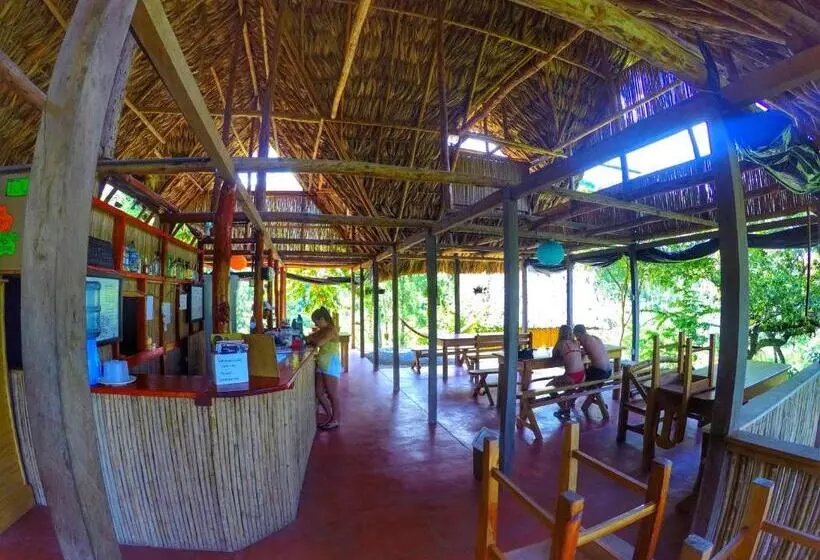 هاستل Vista Verde Lodge