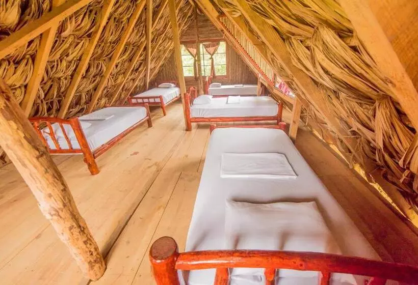 هاستل Vista Verde Lodge