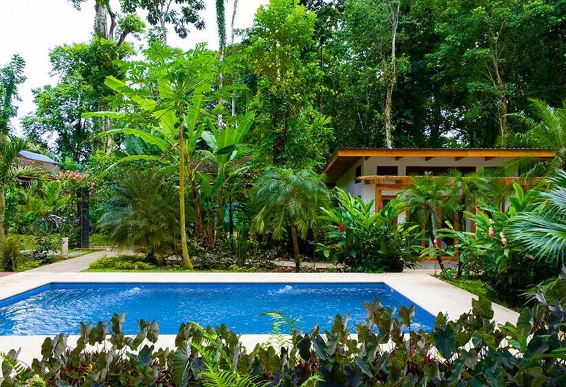 تختخواب و صبحانه La Paz Del Caribe Adults Only