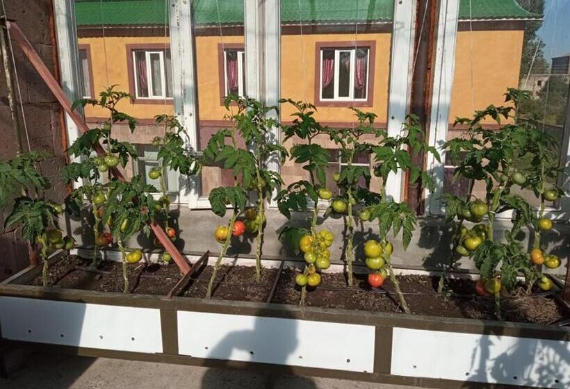 هتل Sevan Backstage Garden