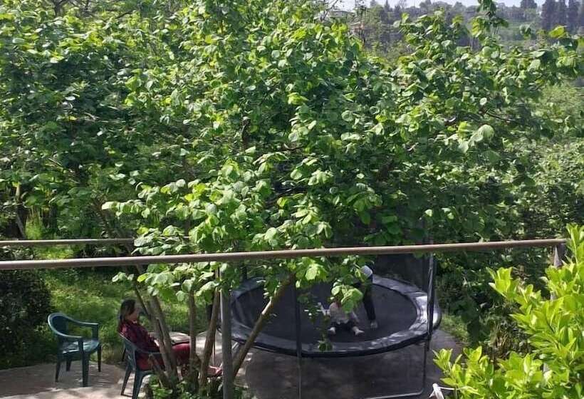 پانسیون Green Cape Guest House