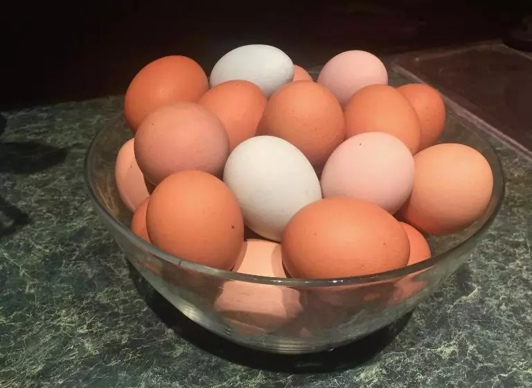 Cooperstown Bed And Breakfast