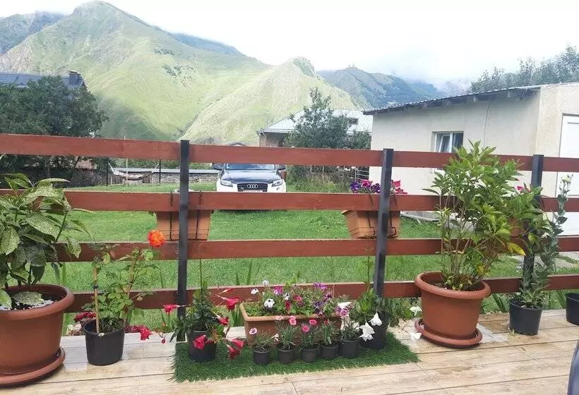 پانسیون Guest House Elguja Qushashvili