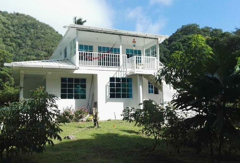 Hostel Posada Mango Tree