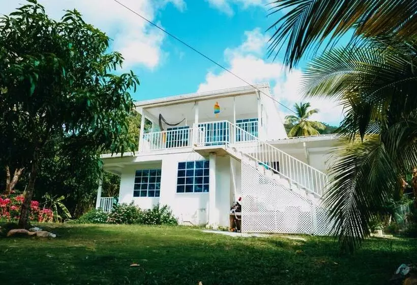 هاستل Posada Mango Tree