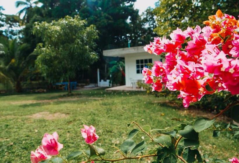 Hostel Posada Mango Tree