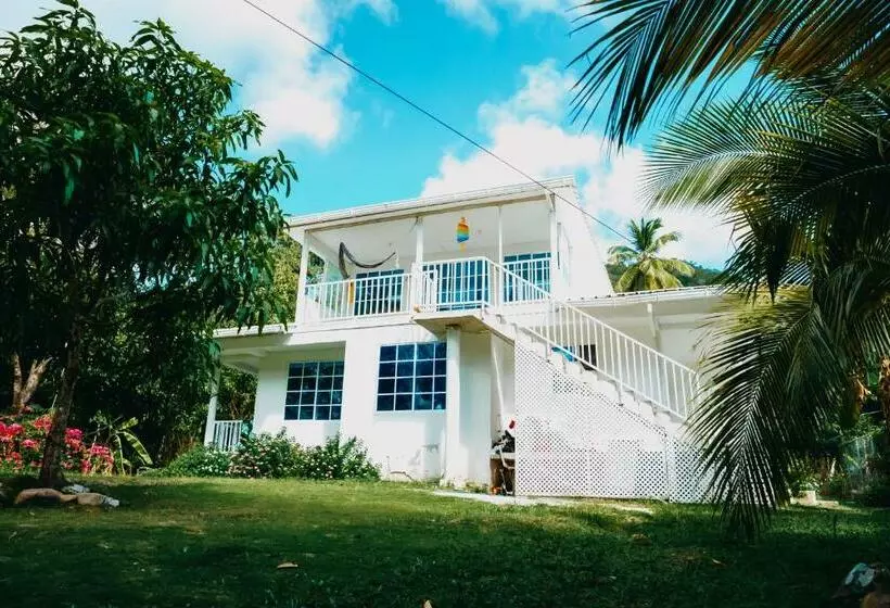 هاستل Posada Mango Tree