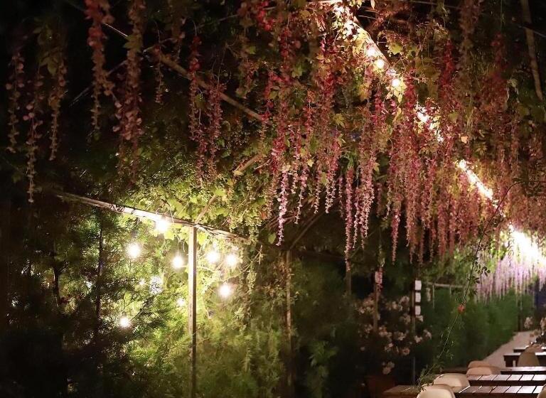 Cross Apartments And Tours