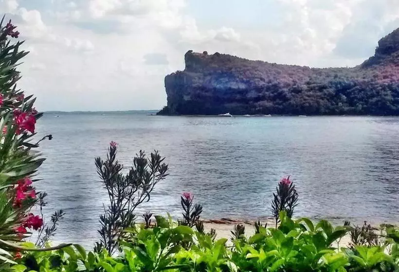 ホテル Agriturismo Sangallo