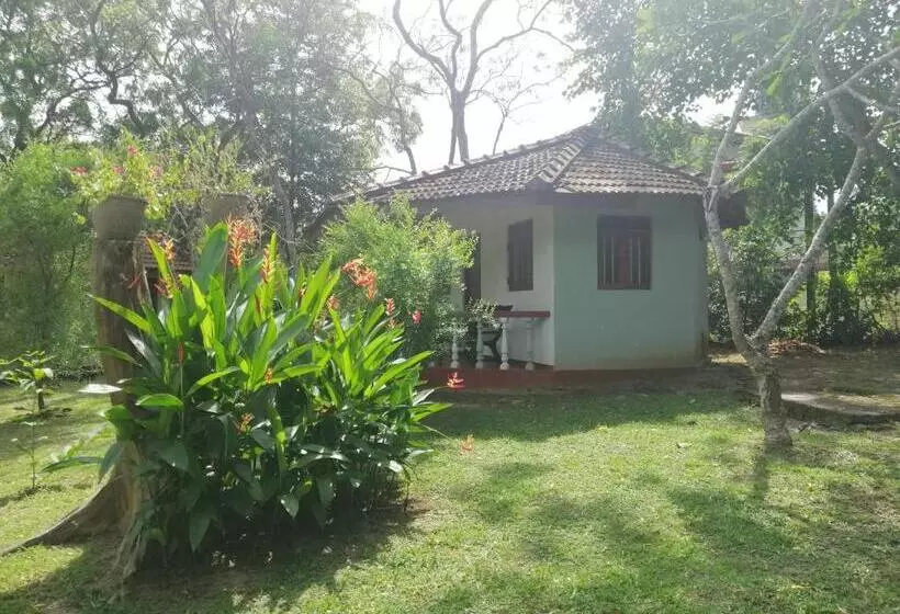 پانسیون Calm Garden Cabanas