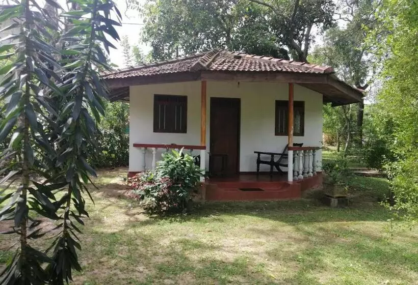 پانسیون Calm Garden Cabanas