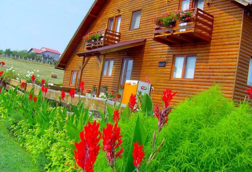 پانسیون Casa Altius Felix