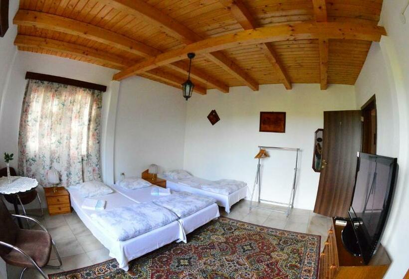 پانسیون Casa Altius Felix