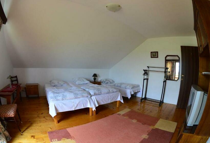 پانسیون Casa Altius Felix