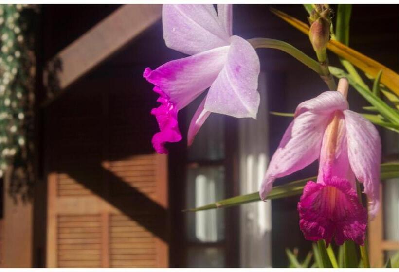 بنسيون Kitnet E Suite Morada Aguiar   Chalé